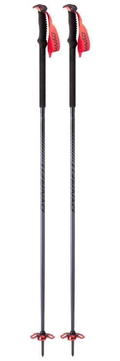 Bâton Dynafit Tour Pole Dawn Tour Pole Dawn