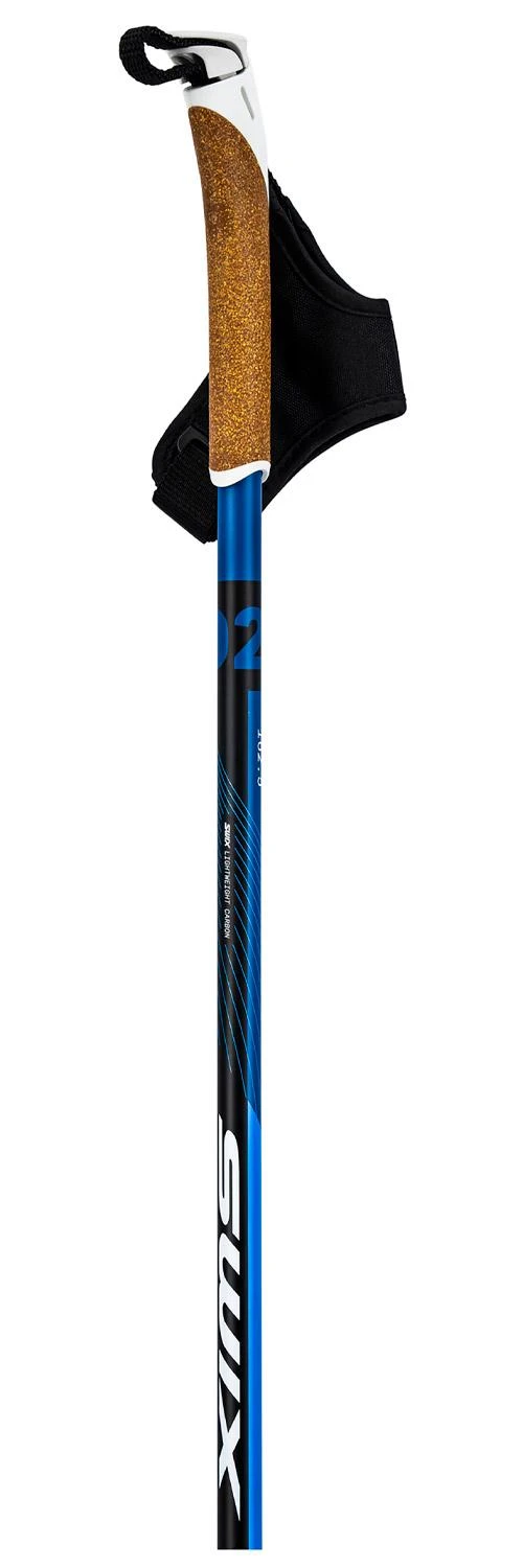 Bâton Fond Swix Dynamic D2 – Image 2